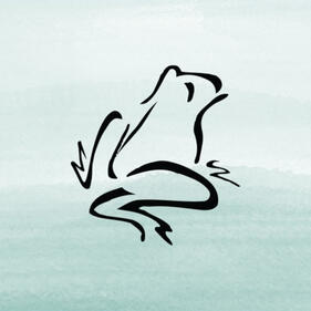 Line-drawn frog with light blue background